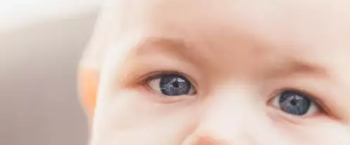 658.png